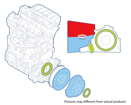 CORTECO 19134537 Wellendichtringsatz, Kupplung